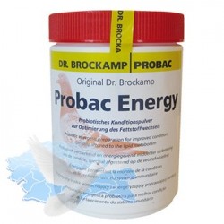 Probac Energy 500gr