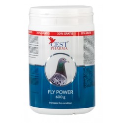 FLY POWER